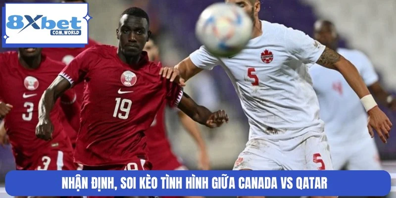 Nhận định tỷ lệ cược chính xác cặp Canada và Qatar