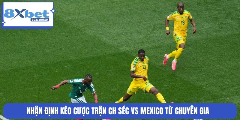 Kèo cược trận đối đầu được cập nhật mới nhất tại 8XBET