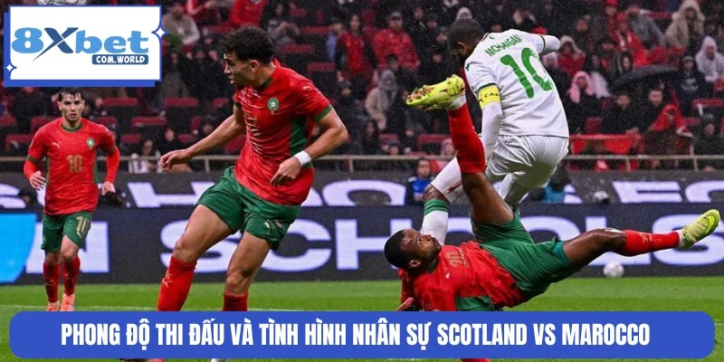 Dữ liệu chấn thương, phong độ gần đây Scotland vs Marocco